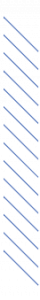 elemento_5